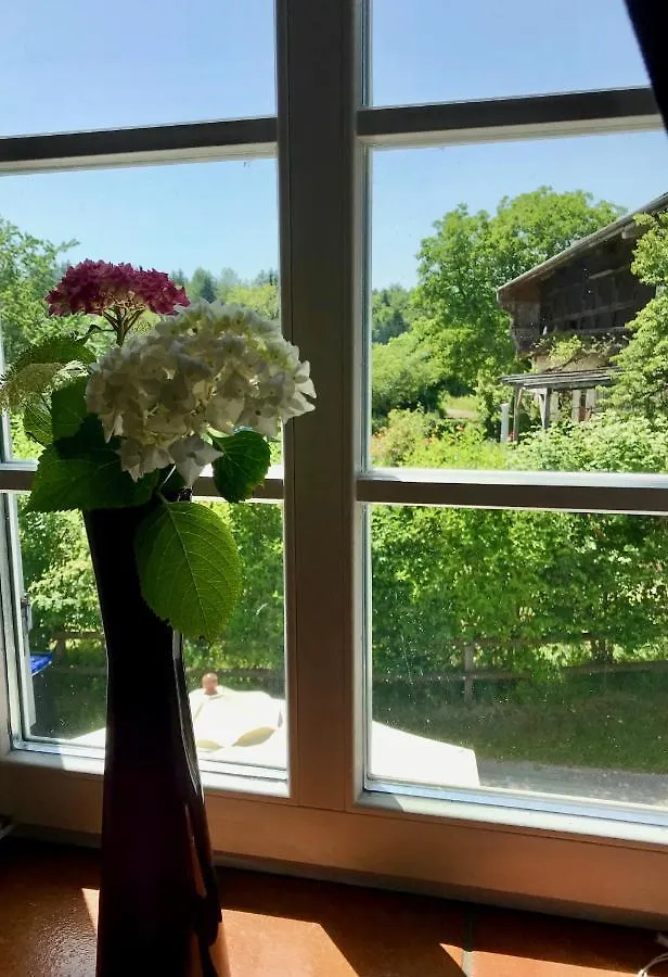 Apartment Haus DreiSeenBlick Rimsting